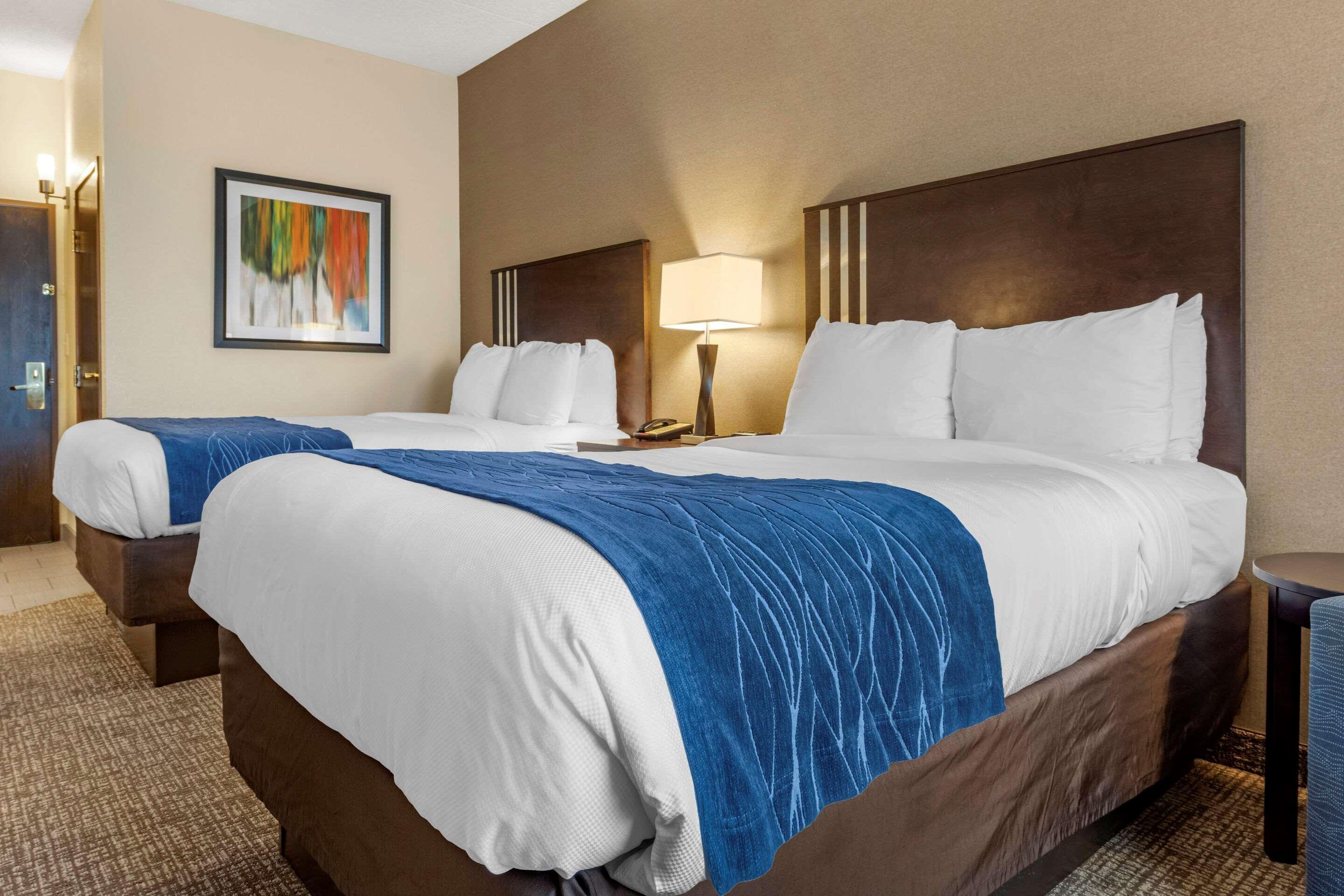 Hotel Comfort &